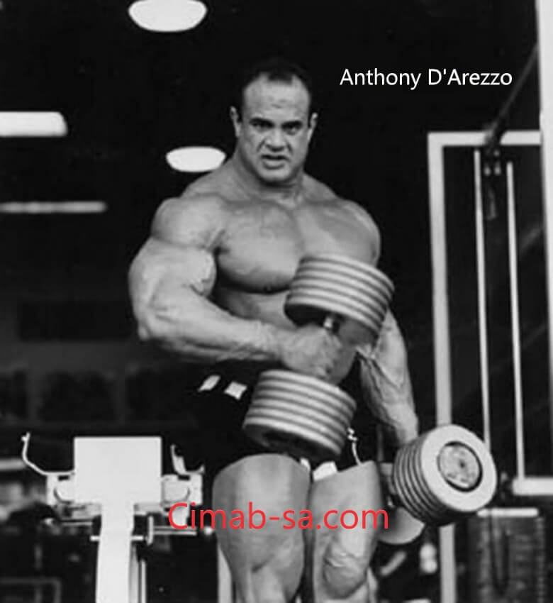 Anthony DArezzo