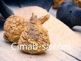 Maca Root