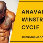 Anavar Winstrol Cycle