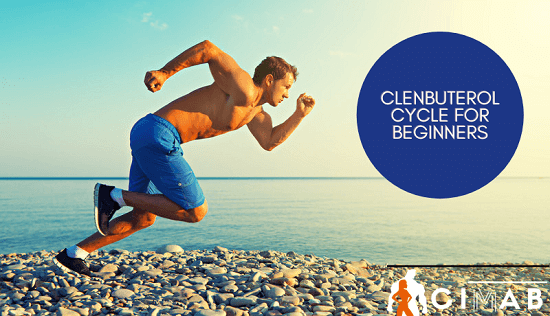 Clenbuterol Cycle for Beginners