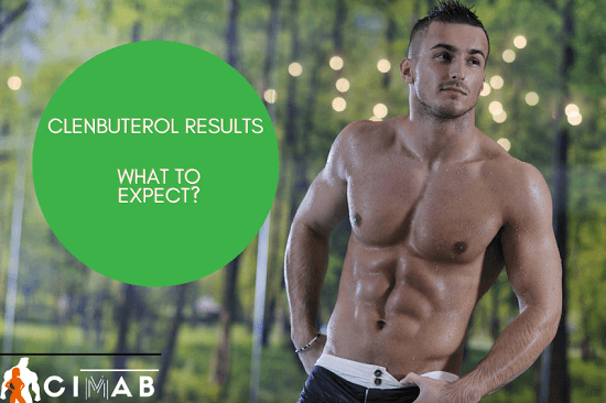 Clenbuterol Cycle for Beginners