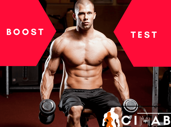 Testo Prime Review