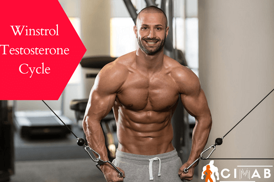 Winstrol and Testosterone Cycle