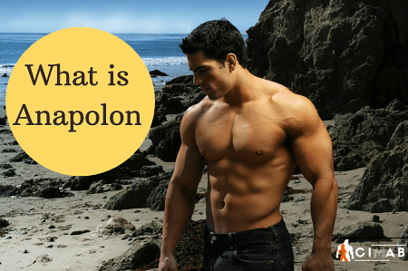 What is Anapolon