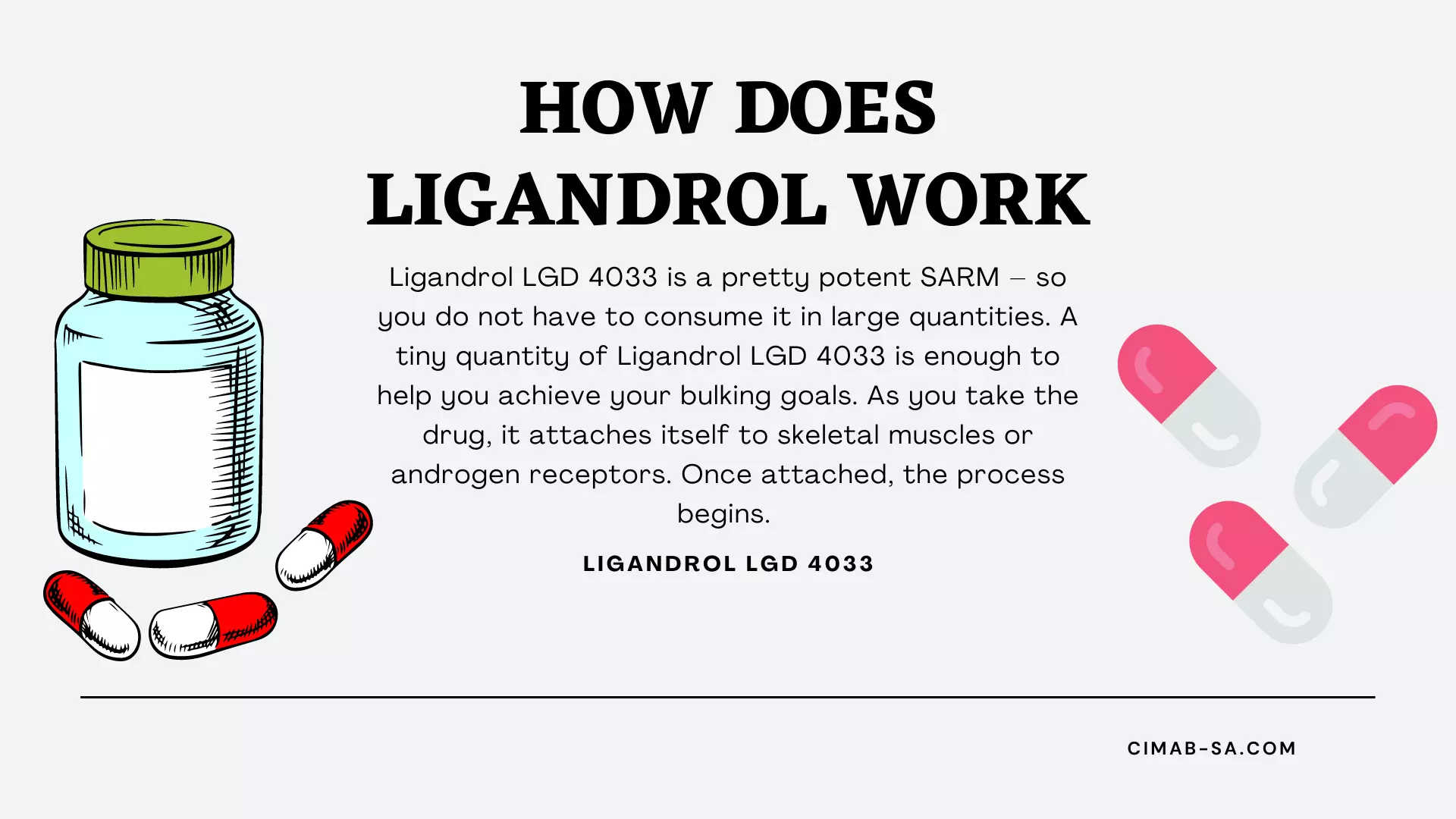 LGD 4033 Ligandrol Review