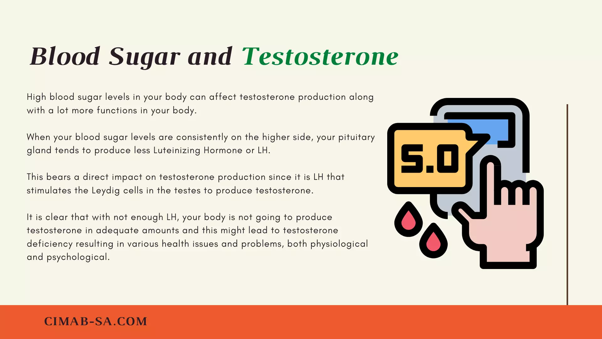 Testosterone and Blood Sugar