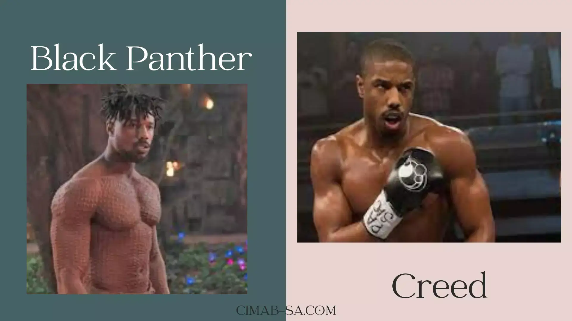 Did Michael B Jordan Take Steroids for Black Panther