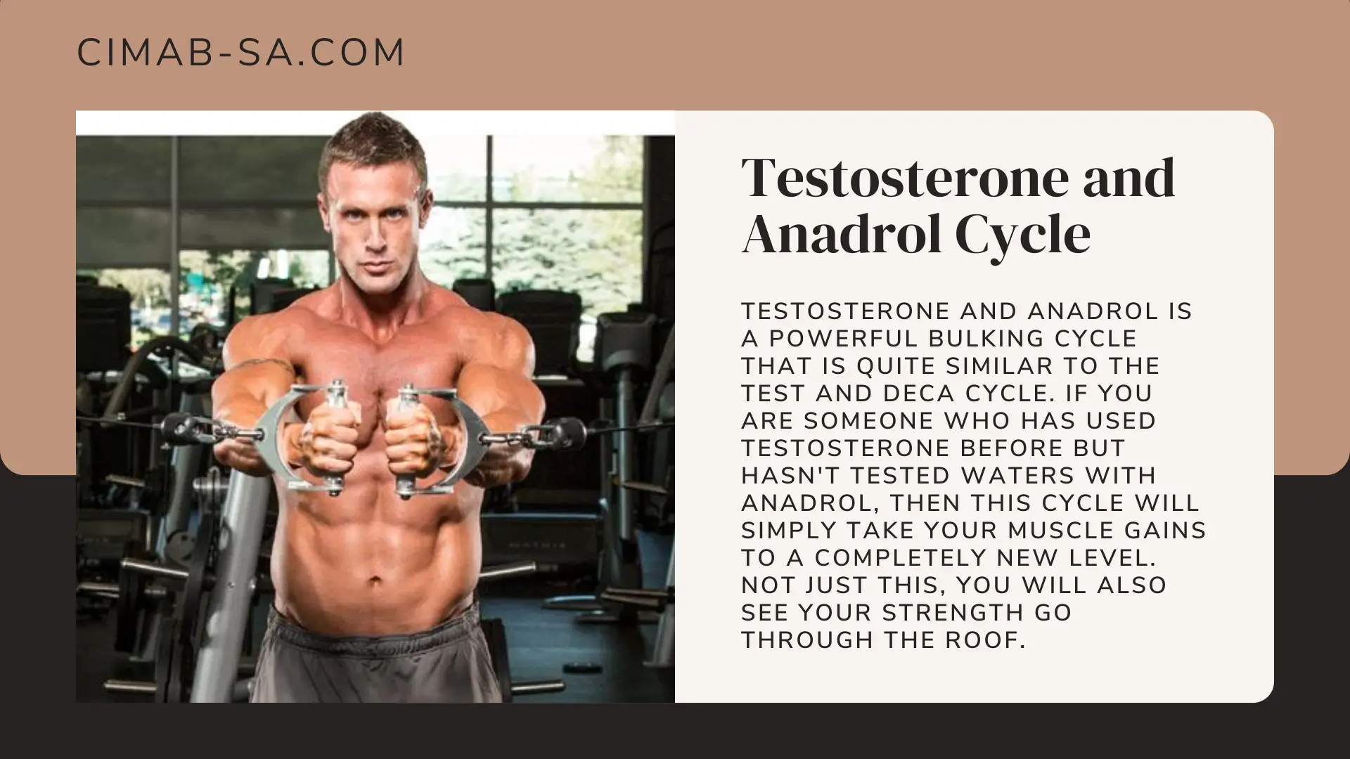 Test and Anadrol Cycle