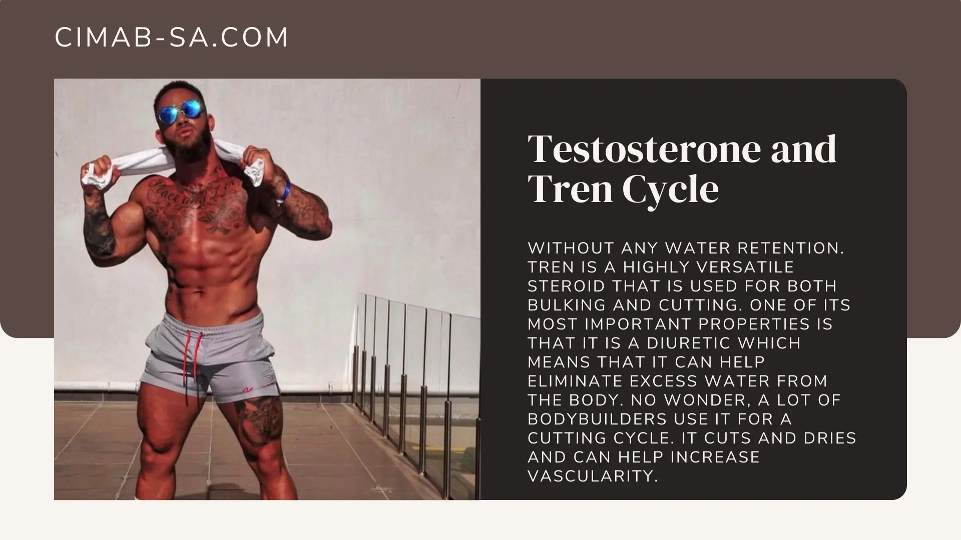 Top Testosterone Cycles