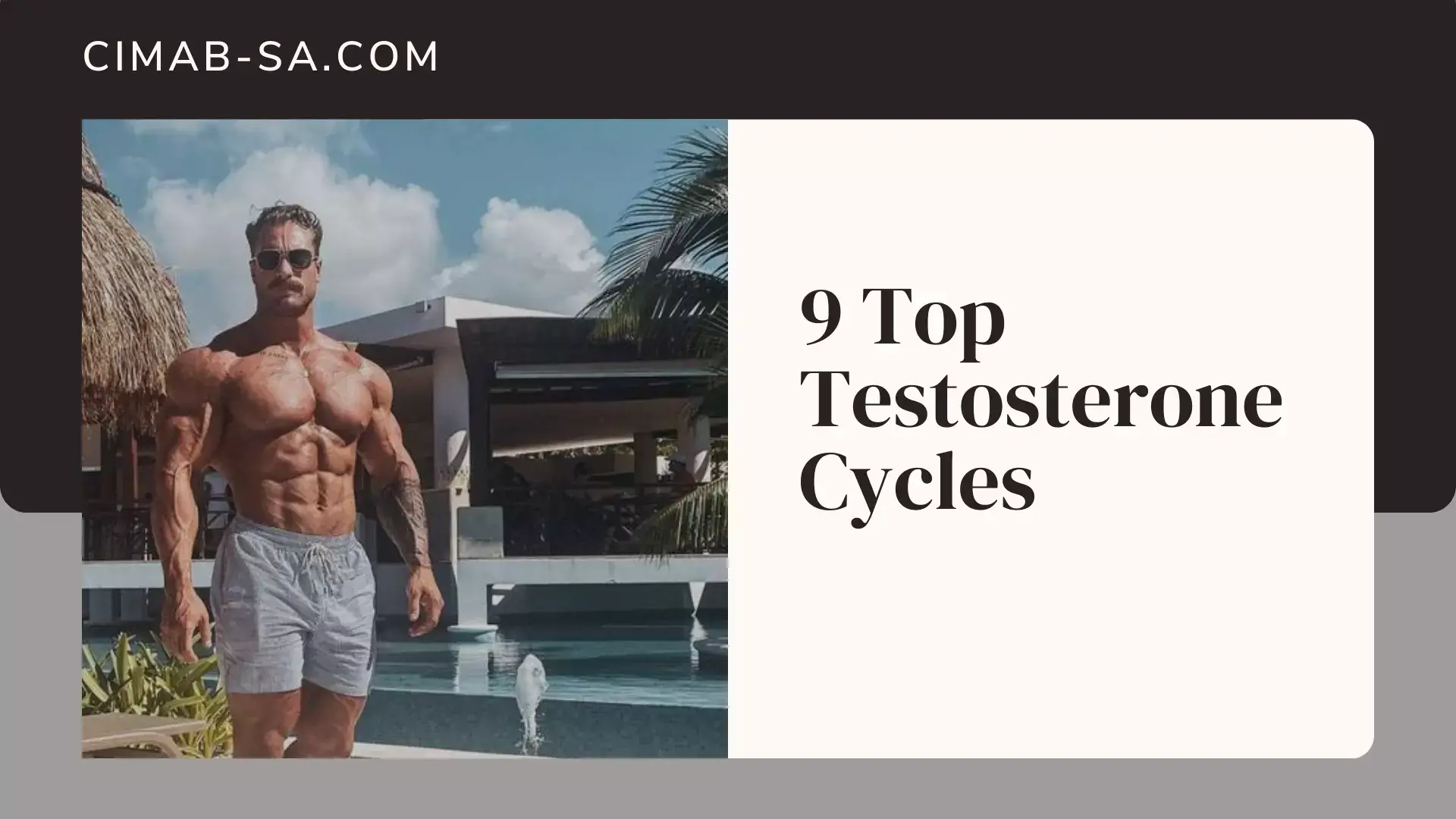 Best Steroid Cycle To Gain Muscle 9 Top Testosterone Cycles for Muscle/Strength Gains, Cutting
