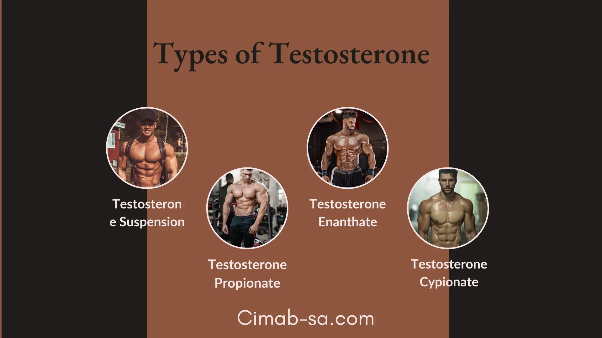 Top Testosterone Cycles