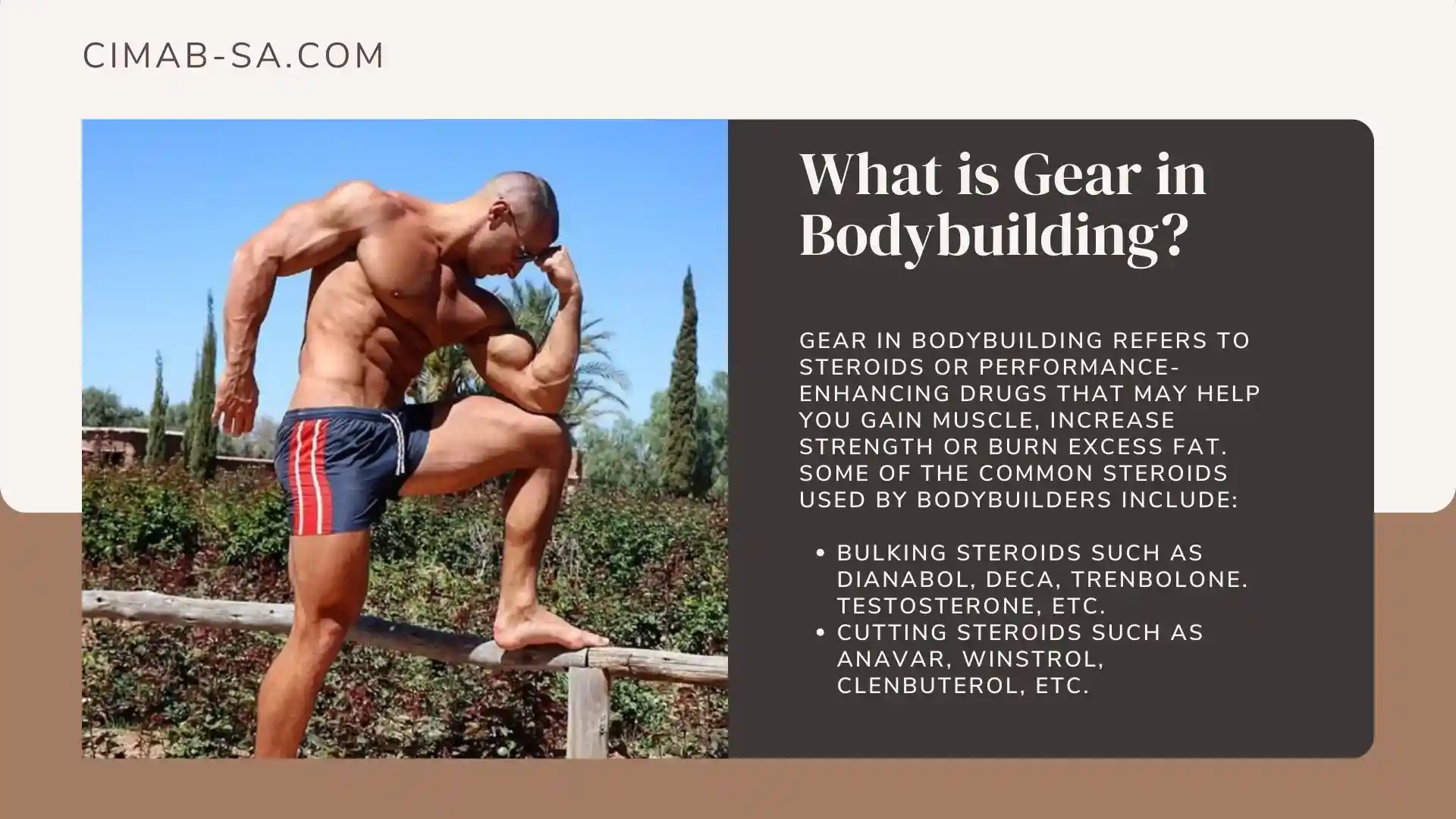 Gear in bodybuilding